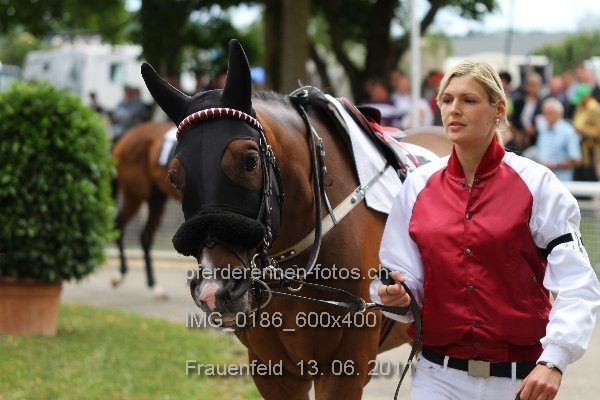 IMG 0186 600x400 prot