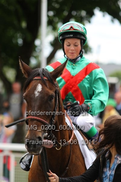 IMG 0200 600x400 prot