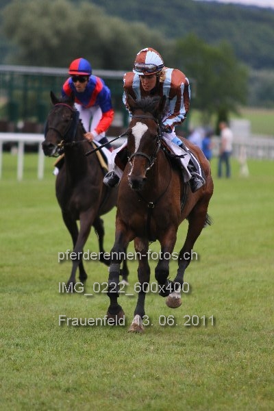 IMG 0222 600x400 prot