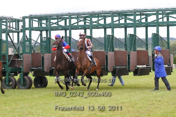 IMG 0242 600x400 prot