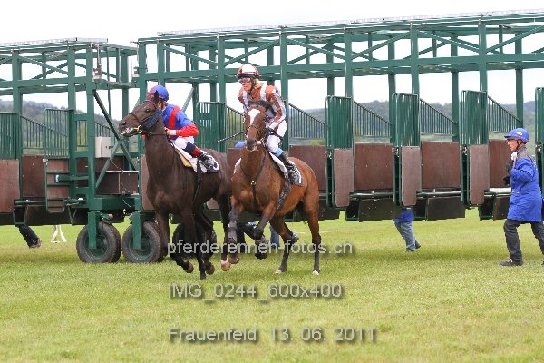 IMG 0244 600x400 prot