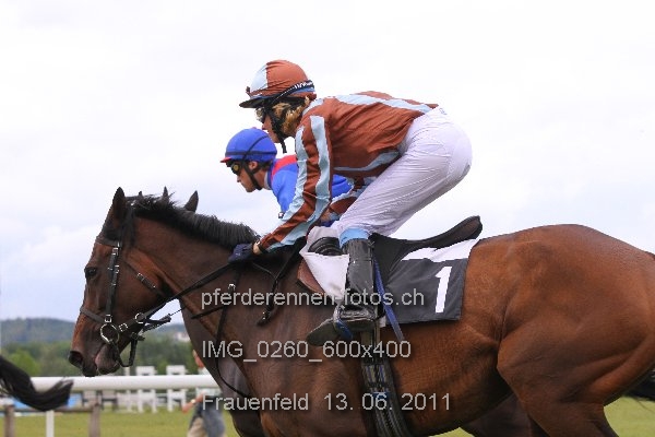 IMG 0260 600x400 prot