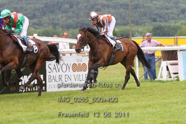 IMG 0265 600x400 prot