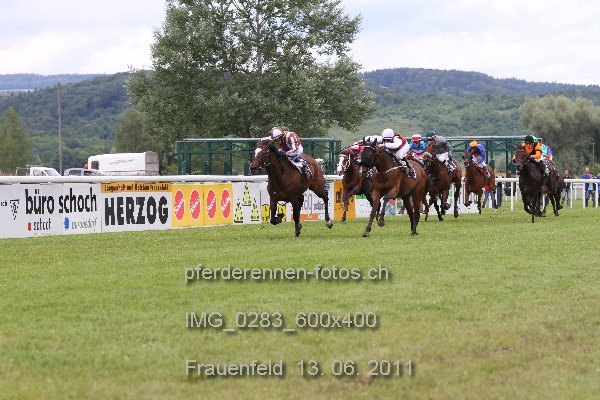 IMG 0283 600x400 prot