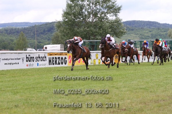IMG 0285 600x400 prot