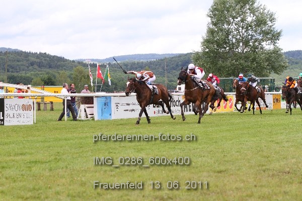 IMG 0286 600x400 prot