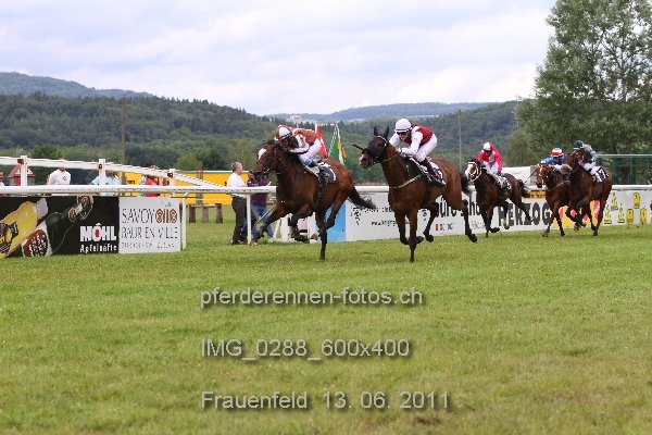 IMG 0288 600x400 prot