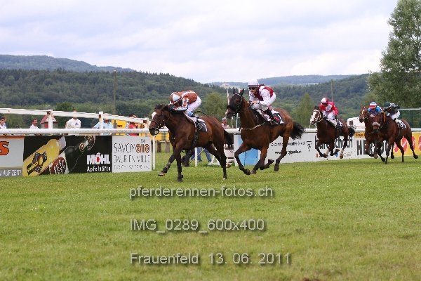 IMG 0289 600x400 prot