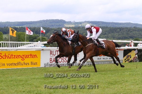 IMG 0294 600x400 prot