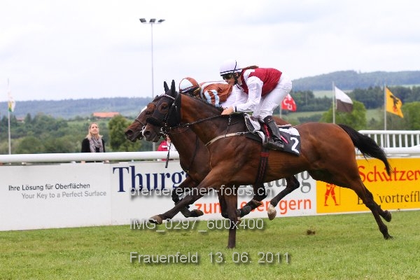 IMG 0297 600x400 prot