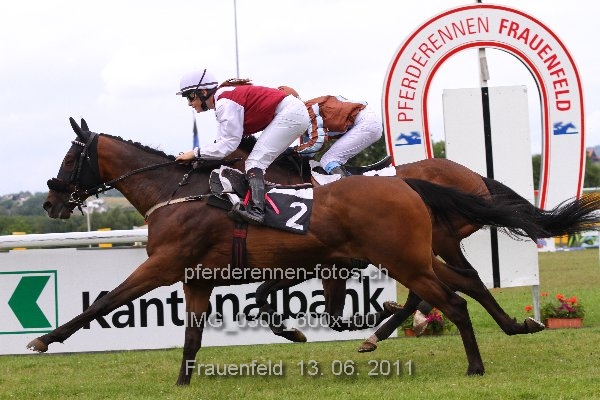 IMG 0300 600x400 prot