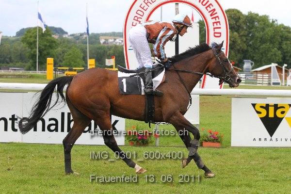 IMG 0301 600x400 prot