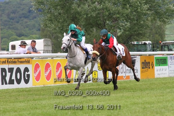 IMG 0309 600x400 prot
