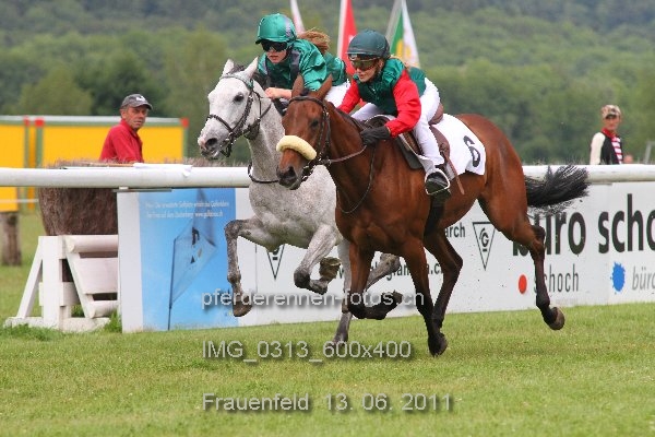 IMG 0313 600x400 prot