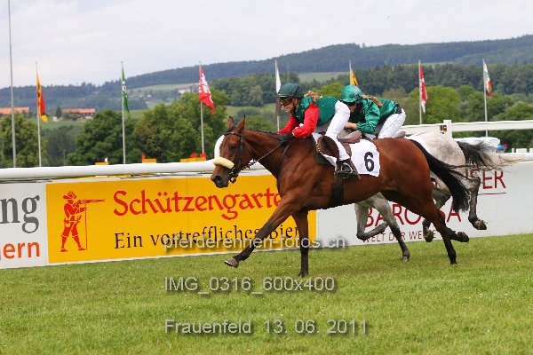 IMG 0316 600x400 prot