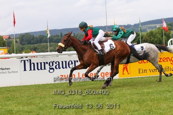 IMG 0318 600x400 prot