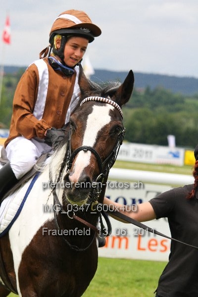 IMG 0347 600x400 prot