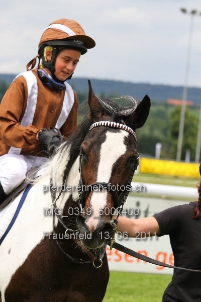 IMG 0349 600x400 prot