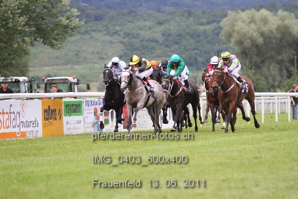 IMG 0403 600x400 prot