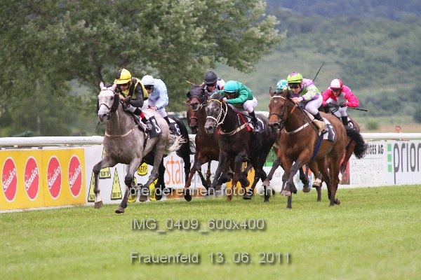 IMG 0409 600x400 prot
