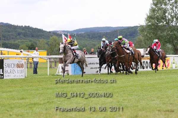 IMG 0412 600x400 prot