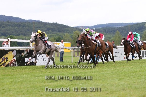 IMG 0415 600x400 prot