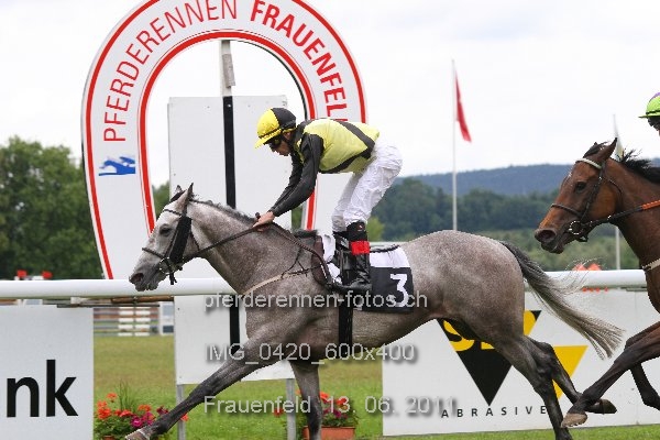 IMG 0420 600x400 prot
