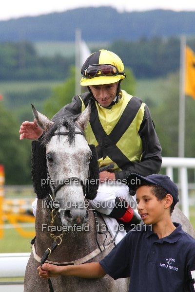 IMG 0429 600x400 prot