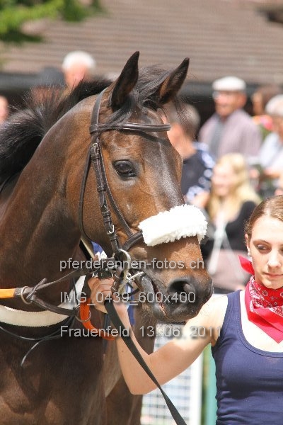 IMG 0439 600x400 prot