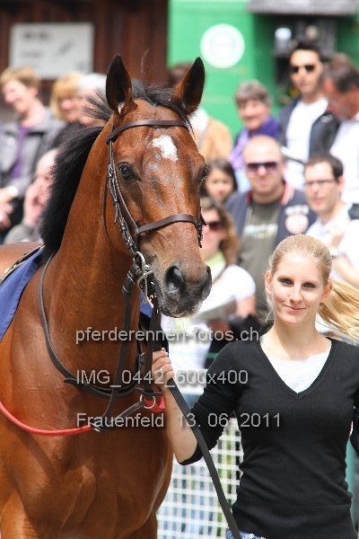 IMG 0442 600x400 prot
