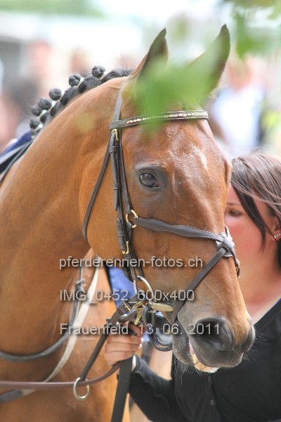 IMG 0452 600x400 prot