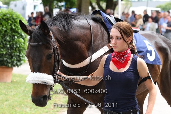 IMG 0453 600x400 prot