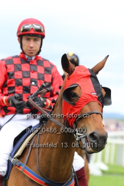 IMG 0486 600x400 prot