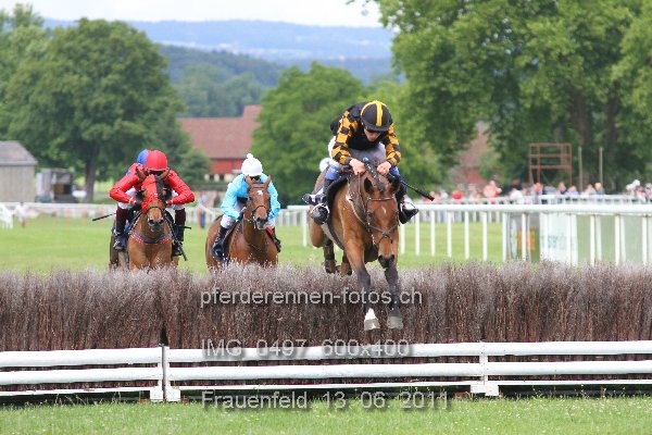 IMG 0497 600x400 prot