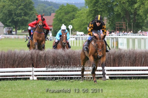 IMG 0500 600x400 prot