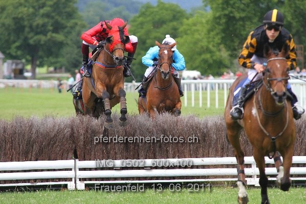IMG 0502 600x400 prot