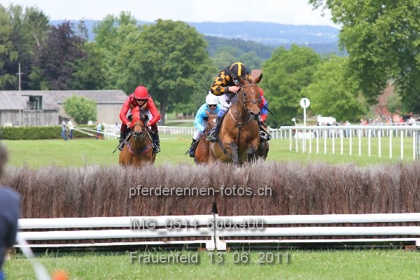 IMG 0514 600x400 prot