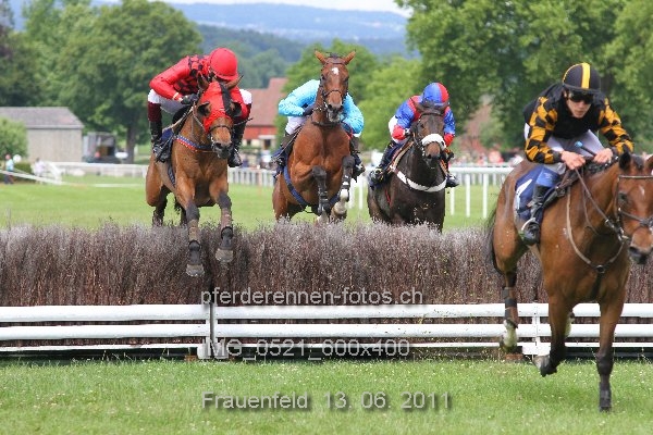 IMG 0521 600x400 prot