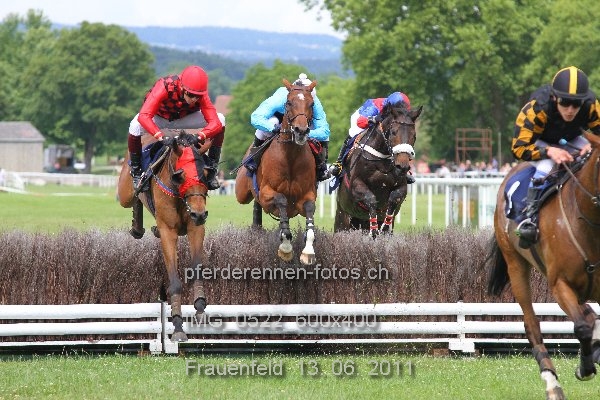 IMG 0522 600x400 prot