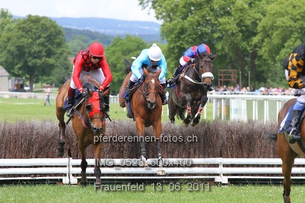 IMG 0523 600x400 prot