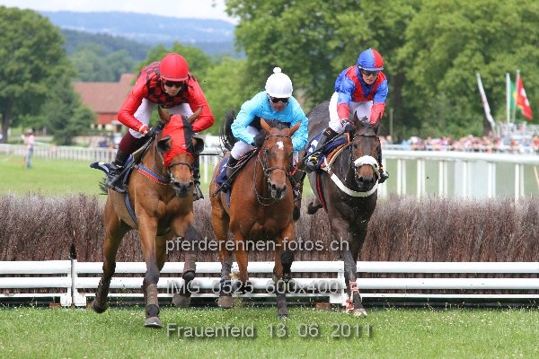 IMG 0525 600x400 prot
