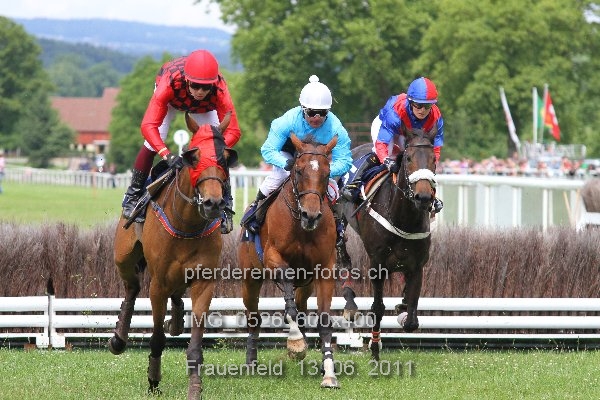 IMG 0526 600x400 prot