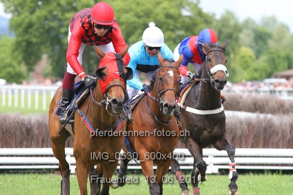 IMG 0530 600x400 prot