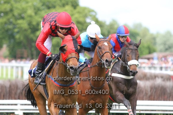 IMG 0531 600x400 prot