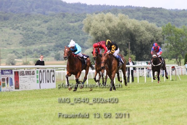 IMG 0540 600x400 prot