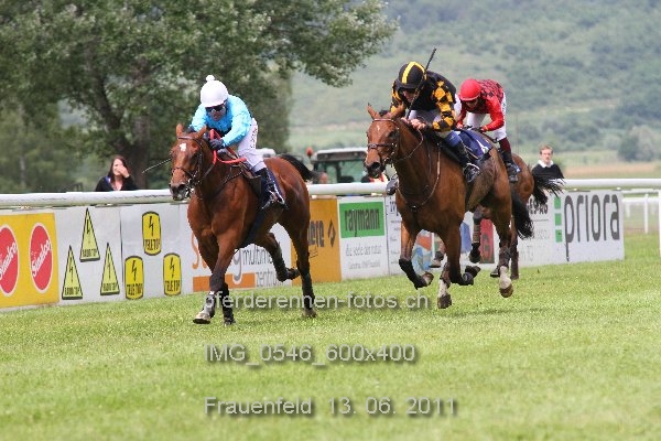 IMG 0546 600x400 prot