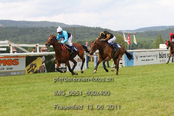 IMG 0551 600x400 prot