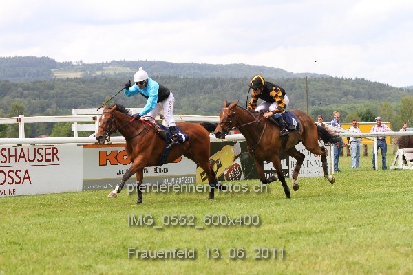 IMG 0552 600x400 prot