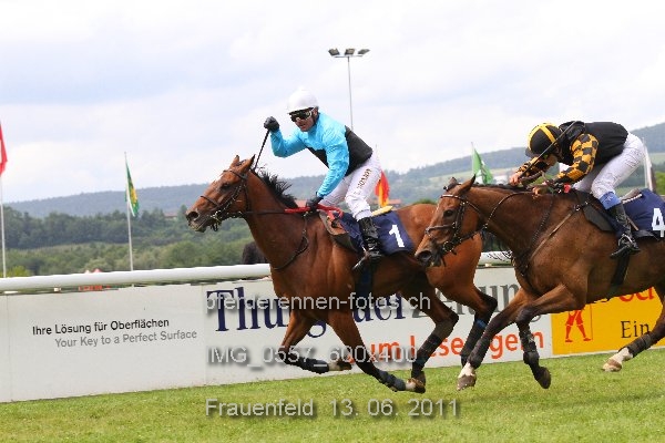 IMG 0557 600x400 prot
