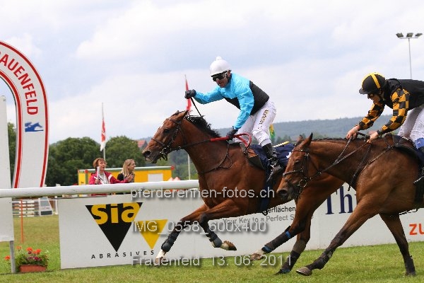 IMG 0558 600x400 prot